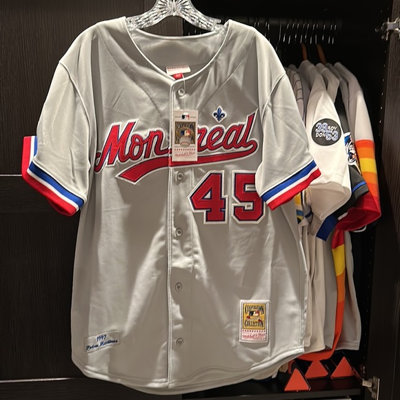 Mitchell & Ness Other - Pedro Martinez Montreal Expos Mitchell & Ness MLB Cooperstown Authentic Jersey